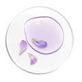 Ingredient image