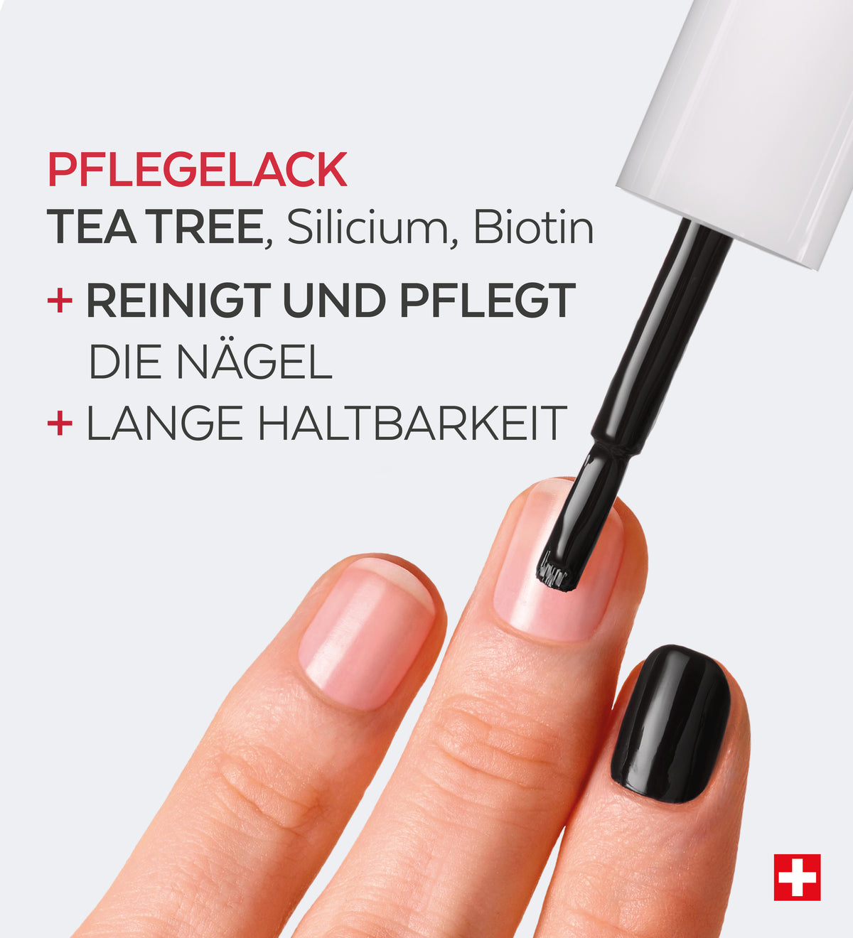 ZAO Nagellack Nr. 659 'Black Cherry' - Vegan, 7-free, Mit Bambus-Deckel, Pflegend Durch Bambusöl