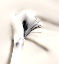 Vernis Color Care Tea Tree - Blanc Perlé